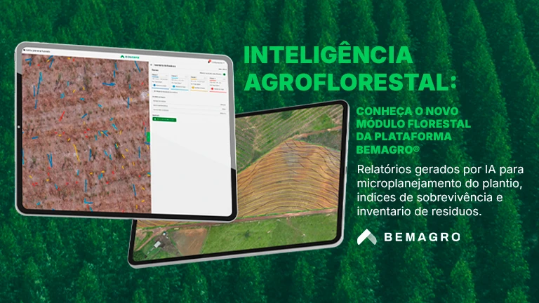 Módulo Florestal da BemAgro: telas dos relatórios de plantio e colheita